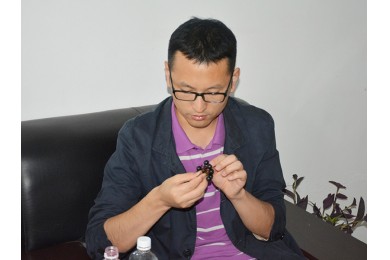 中國農(nóng)業(yè)大學副教授